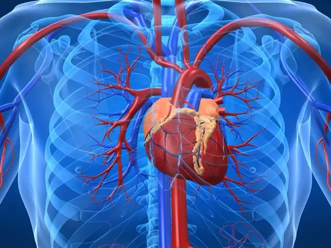 Potency-ngaronjatkeun latihan anu contraindicated pikeun panyakit jantung