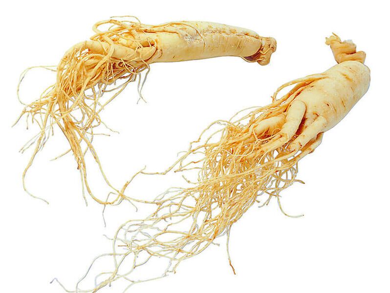 ginseng akar finid